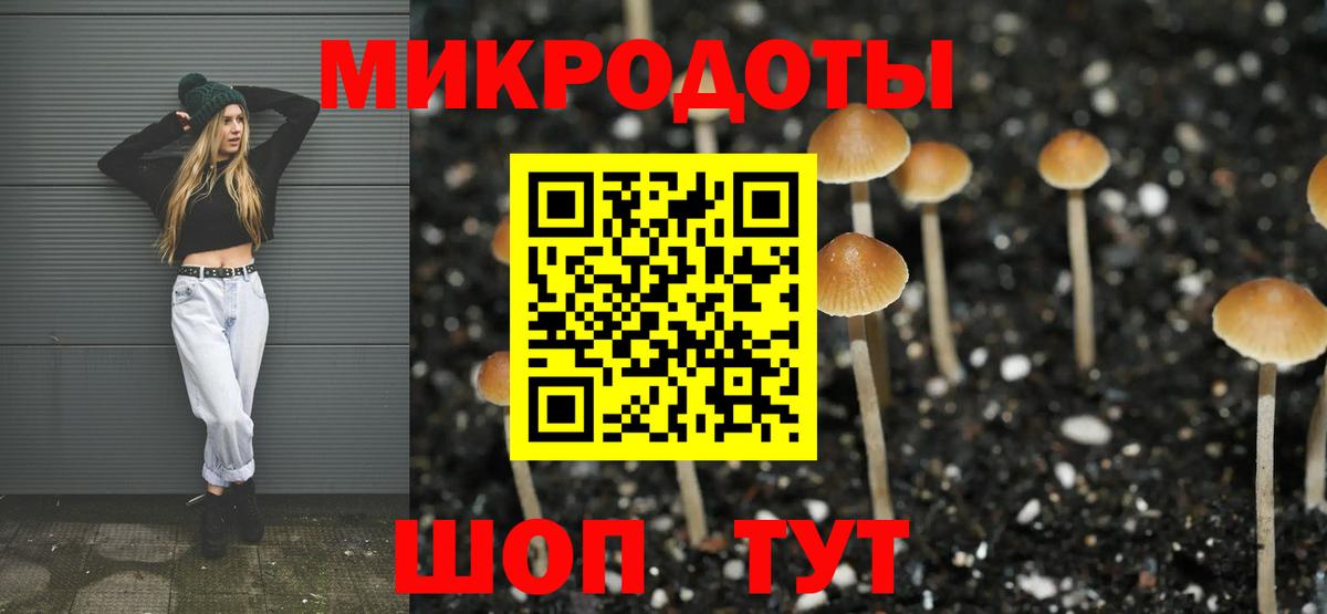 Псилоцибиновые грибы мухоморы Нарьян-Мар