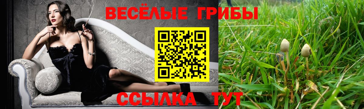 Псилоцибиновые грибы Magic Shrooms  Галлюциногенные грибы мицелий  Нарьян-Мар  Вход с VPN 
